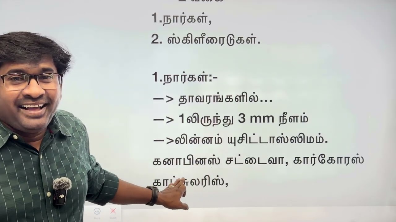 💥திசுக்களின் அமைப்பு💥