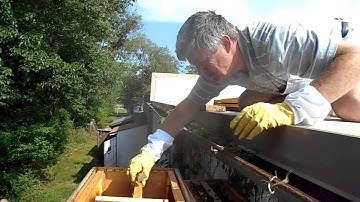 Transfer Frames from Nuc to 10-frame HiveBody