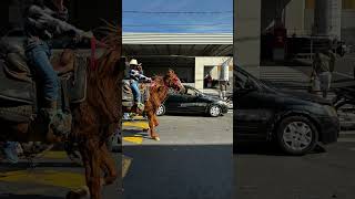 #cavalgada #cavalgadas #mariliasp #obgdeus #clebersonatureza #fotoshorts #domingou #cavalos #cvls