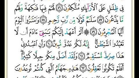 ختمة تلاوة لمصحف التجويد بصوت القارئ محمد حبش الصفحة رقم 444