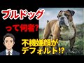 【ブルドッグ】愛嬌がクセになる!ブサかわ界の王者!?