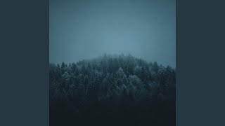 In The Bleak Midwinter (slowed & reverbed) - Joseph Thomas