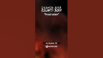 Surah As-Sajdah (Prostration) 20 | Urdu | Hindi Audio Translation |  سورة السجدة