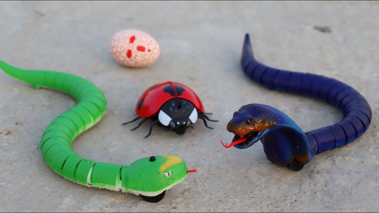 Rc Snake vs Rc Ladybug Vs Rc Rattlesnake Testing