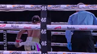 Yan "Dangerous" Santana defiende su título WBO NABO