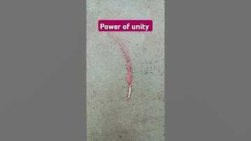 power of unity#motivation#motivational#shorts