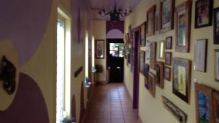 IMG 8388