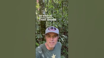 What do you call monkeys that share an Amazon account? ￼