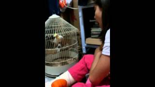 Batendo Papo Com A Calopissita