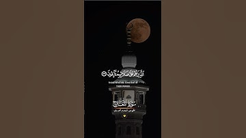 #القرآن_الكريم #اكسبلور #المصحف #قرآن #راحة_نفسية #تلاوة #اكتب_شي_تؤجر_عليه #تحفيز#ارجع_صلي#quran