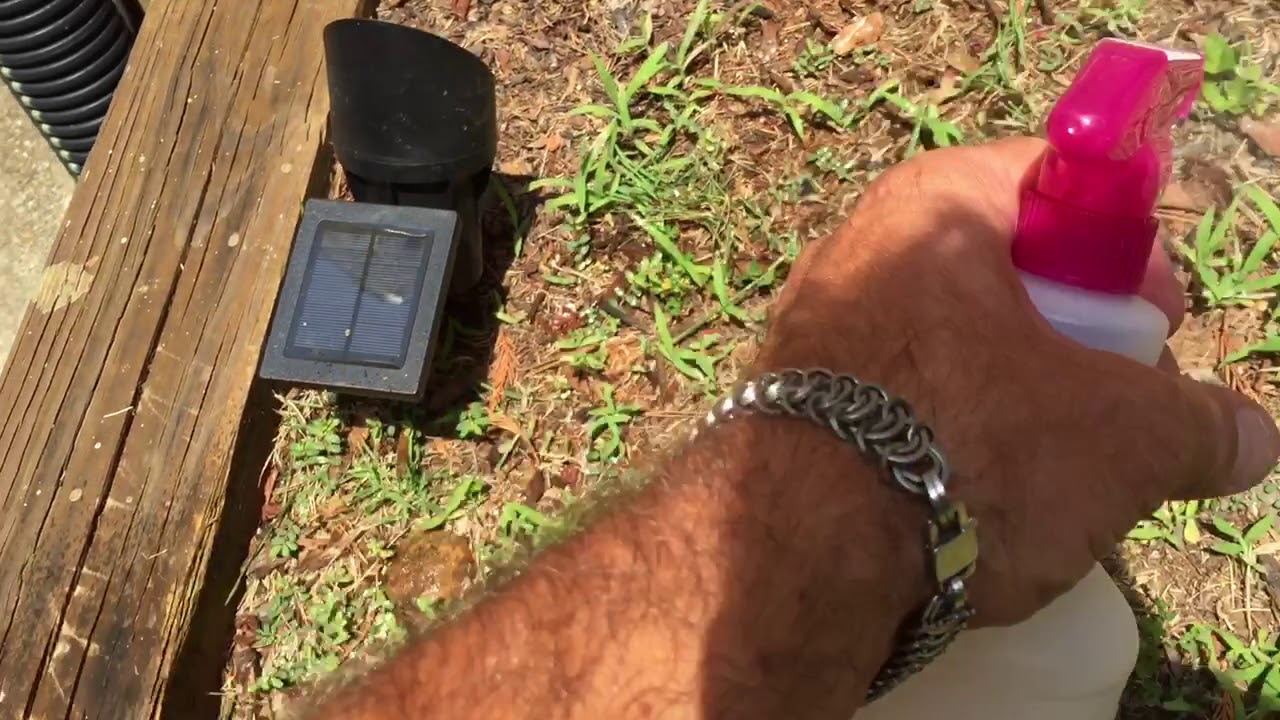 Dave’s Non Toxic Weed & Grass Eliminator