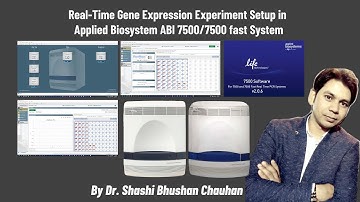 Real Time Gene Expression Experiment Setup in Applied Biosystem ABI 7500/7500 fast System