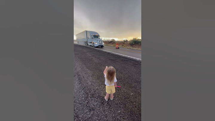 Little Girl Asks Truck Driver to Honk the Horn