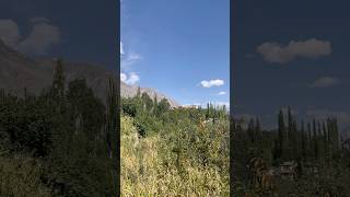 Amazing Nature Beauty#shorts #shortvideo #naturevideo #nature #mountains