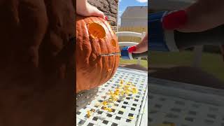 Try carving pumpkins with your 20V drill!  #shorts