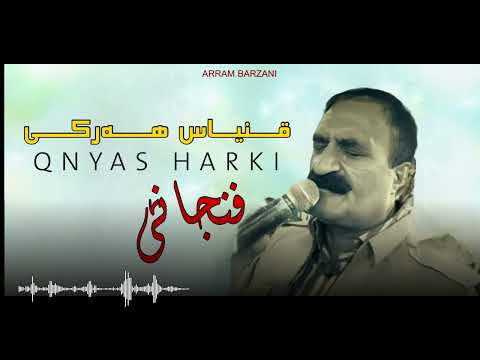 Qnyas Harki Oy Oy Fnjane قنیاس هەرکی ۆی ۆی فنجانێ 