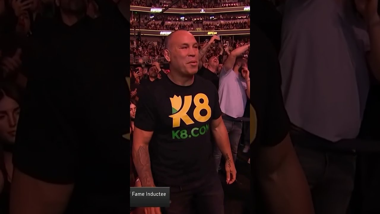 Wanderlei Silva Is Heading Into The UFC Hall Of Fame UFC298