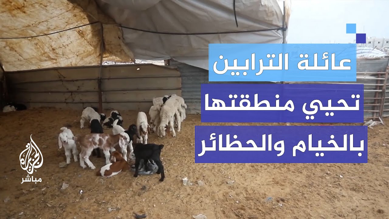 عائلة الترابين تعود وتحيي منطقتها بالخيام وحظائر جديدة للمواشي