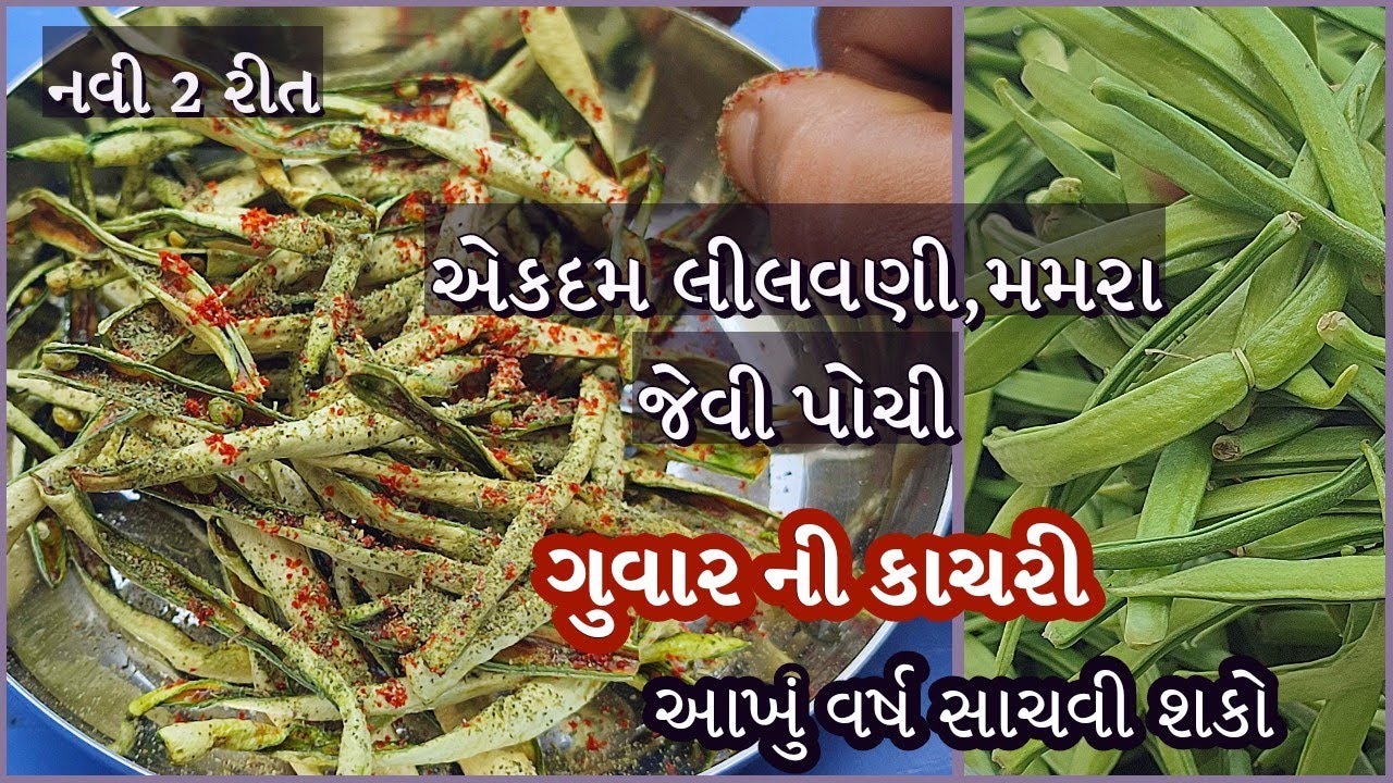 લીલીછમ, મમરા જેવી પોચી,આખું વર્ષ કડક રહે તેવી ગુવાર ની સુકવણી | Guvarni kachri | Guvarni sukavni