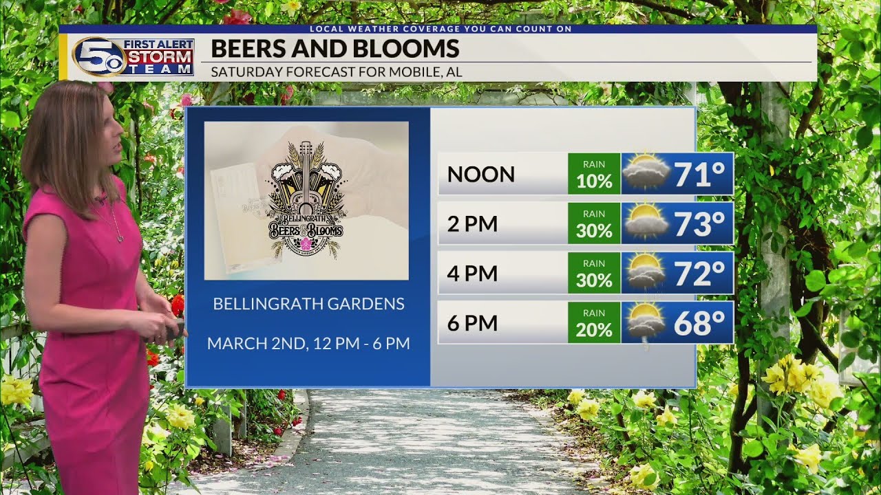 Foggy Mornings & Warm, Cloudy Afternoons With Small Rain Chances This ...