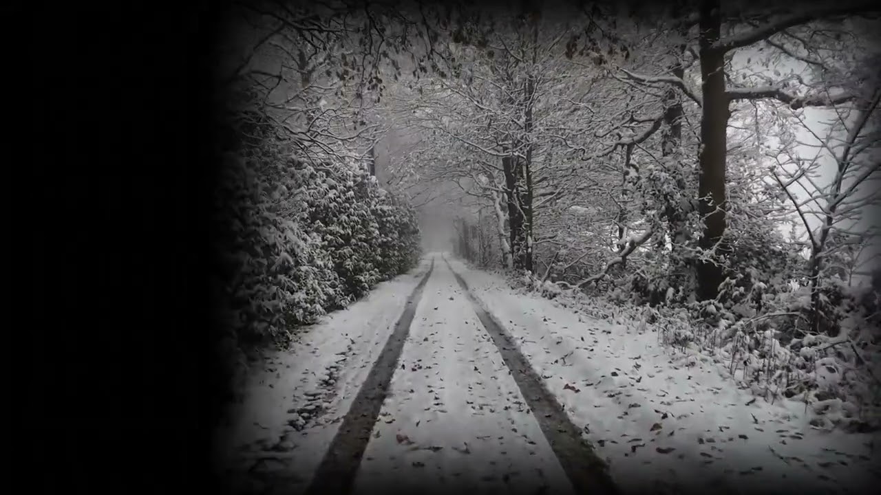 why people loves snow