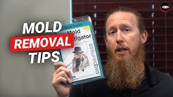 Crawl Space Mold Removal Tips | DIY Mold Remediation Crawl Space 