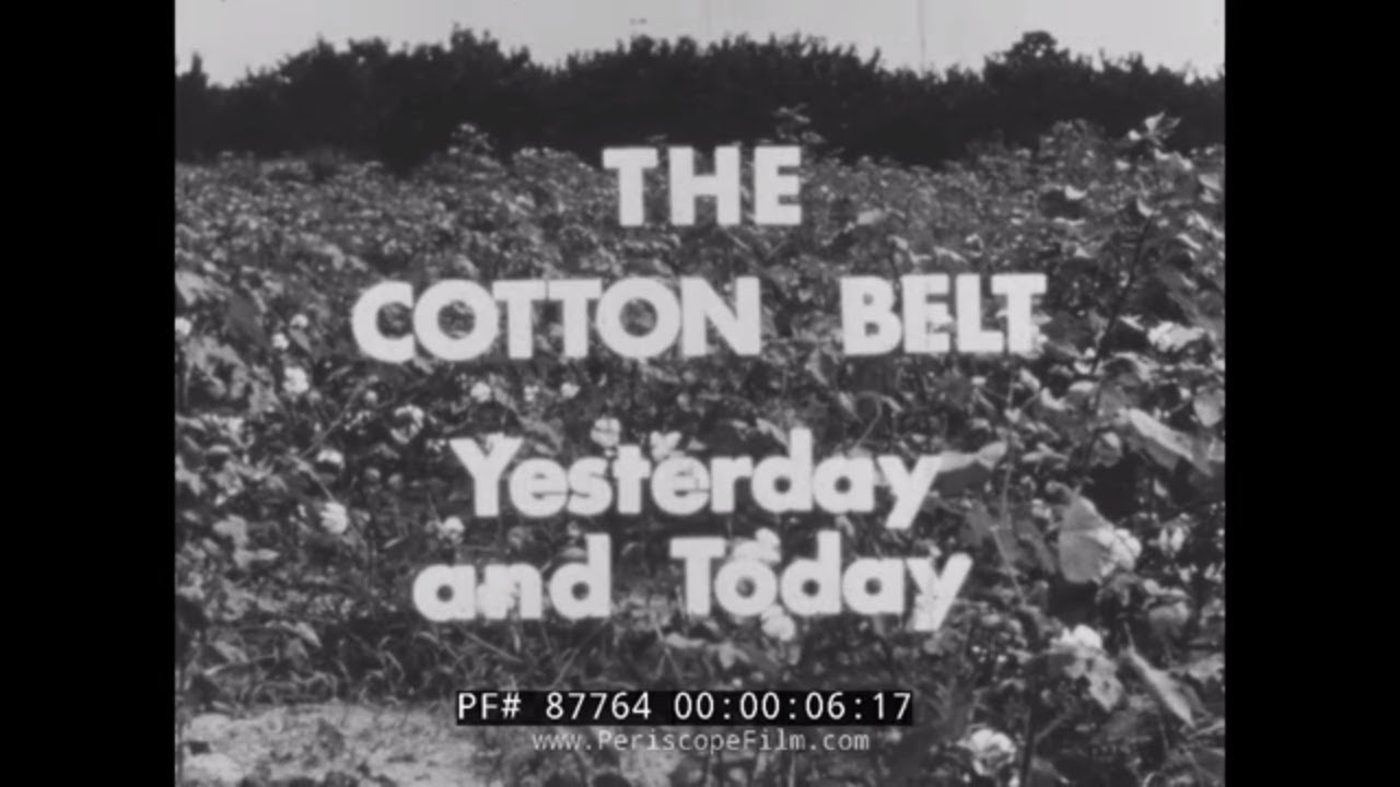 1961 PROFILE OF AMERICA'S COTTON BELT & COTTON INDUSTRY 87764 YouTube