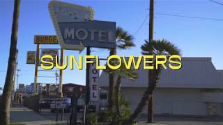 Video thumbnail of "Rex Orange County - Sunflower [Offical Music Video]"
