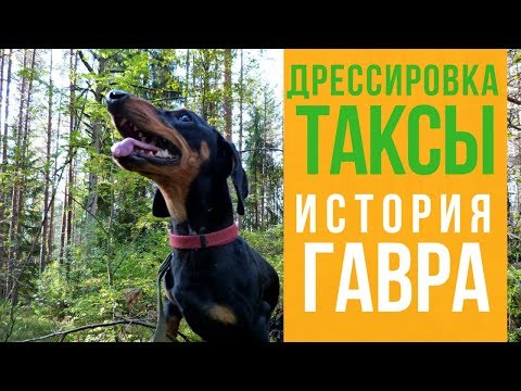 Видео: Има ли пътна такса по моста Ричмънд Сан Рафаел?