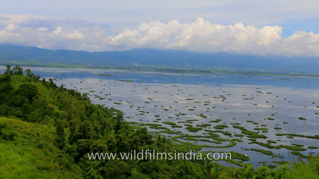 Aerial view of Loktak Lakes floating phumdi islands   famous freshwater lake of India