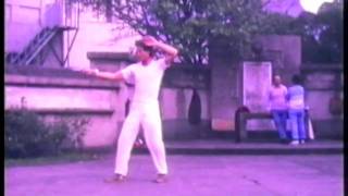 Yangjia Michuan Taiji Quan - Kunlun Sword
