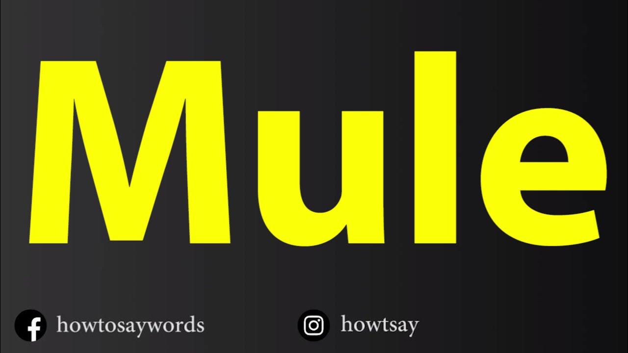How To Pronounce Mule YouTube how-to-pronounce-mule-mula-in-spanish-youtube