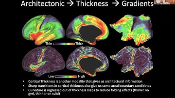 OHBM 2022 | 78 | Educational Course | Parcellations and Functional Territories | Part 6