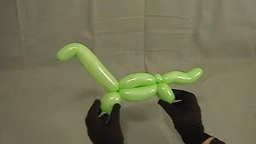 Learn how to make a balloon animal longneck dinosaur using balloon twisting