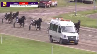 Vidéo de la course PMU CRITERIUM DER DRIEJARIGE MERRIES