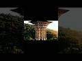 Can Bamboo Really Support a Multi-Story House? #shorts #BambooHouse #Construction #Architecture