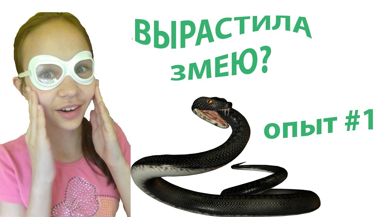 Дети со змеями. Как вырастить змею. Удав анаконда питон дома. Вырастила змею дома. Домик для змеи в террариуме.