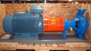 Goulds - 3196 iFRAME - Centrifugal Pump