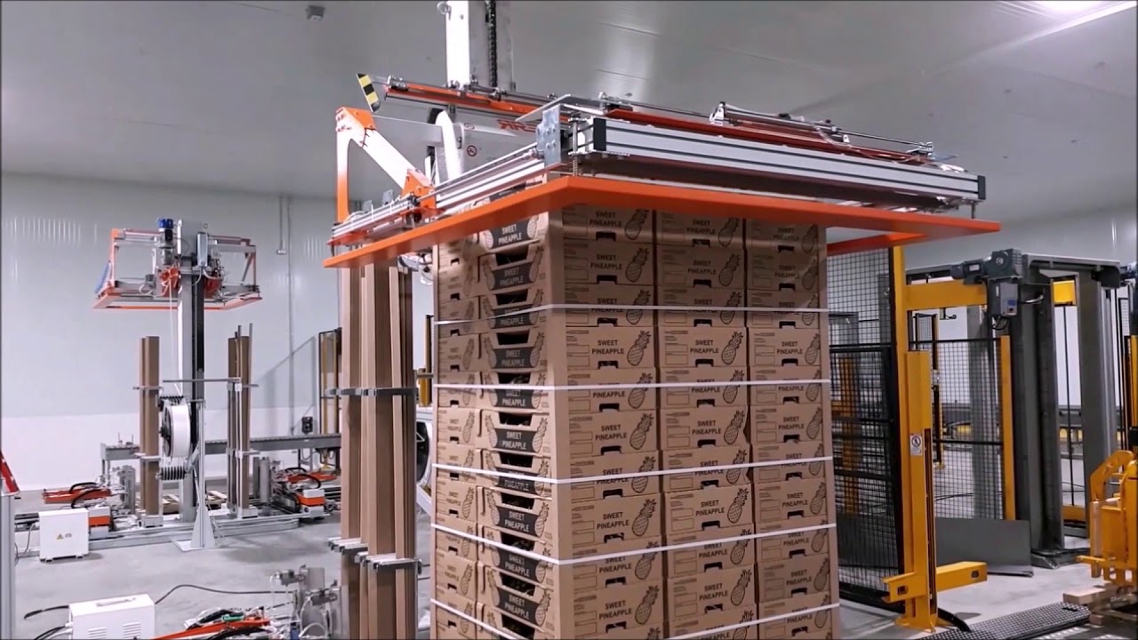 CLIENT: FYFFES - CUSTOM STRAPPING MACHINE - REGGIATRICE CUSTOMIZZATA