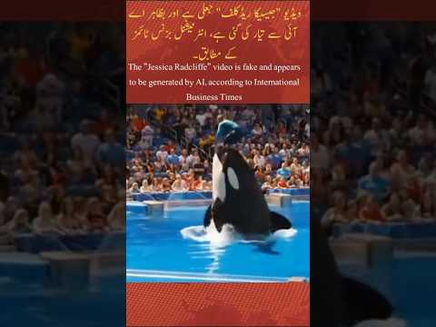 Jessica Dolphin Accident Real Or Not Jessica Dolphin Shorts Trending Orcaattack Video