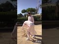 وطريق عمرا شوك
