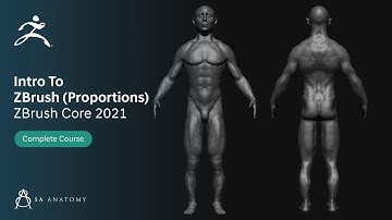 Intro to ZBrush - Proportion Check(ZBrushCore) Male Anatomy