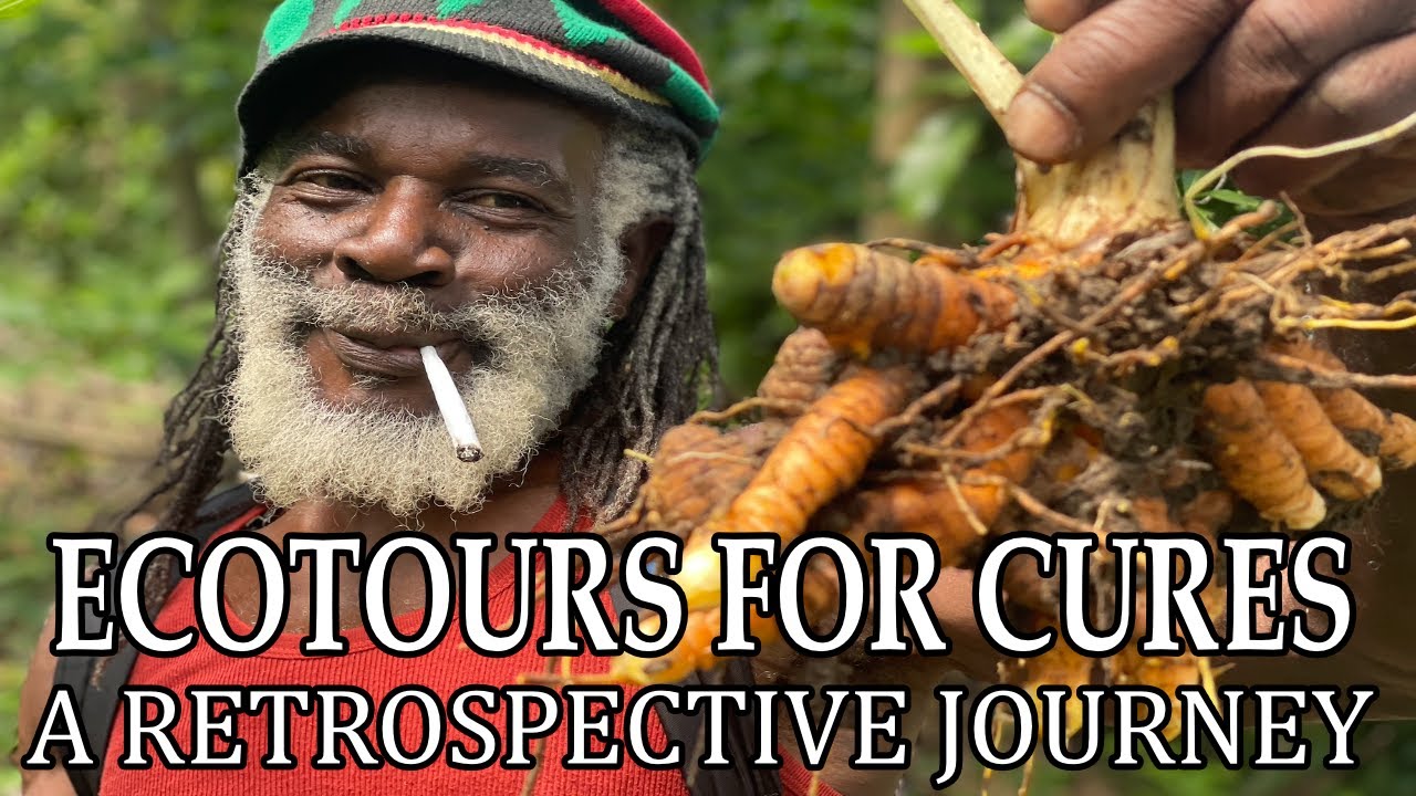 Ecotours For Cures A RETROSPECTIVE JOURNEY Full Documentary (2023