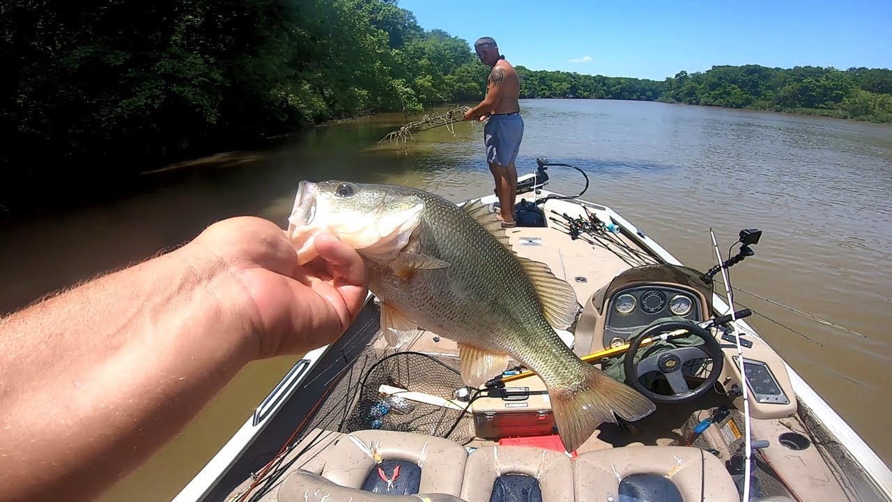 Altamaha River Bass Tournament Fishing Tide YouTube