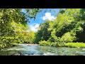 Serene River Sound ASMR 🌊 Pure Water Flow – No Rain No Music for Sleep &amp; Focus