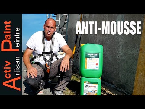 How to clean a roof, pro anti-foam product ALGIMOUSS 