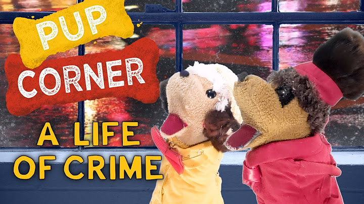 "Pup Corner, Episode 2 - A Life of Crime": Dragonsail Puppets