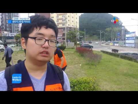 생태계 교란을 막아라(16.06.13)