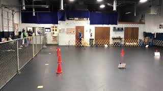 AKC Virtual Rally Novice course #4