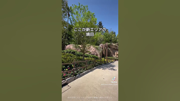 【ディズニーシー】ファンタジースプリングスに足を踏み入れました #ディズニー #ディズニーシー　#disney